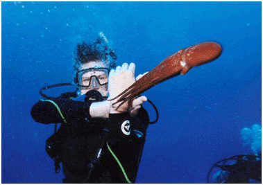 Principal Investigator